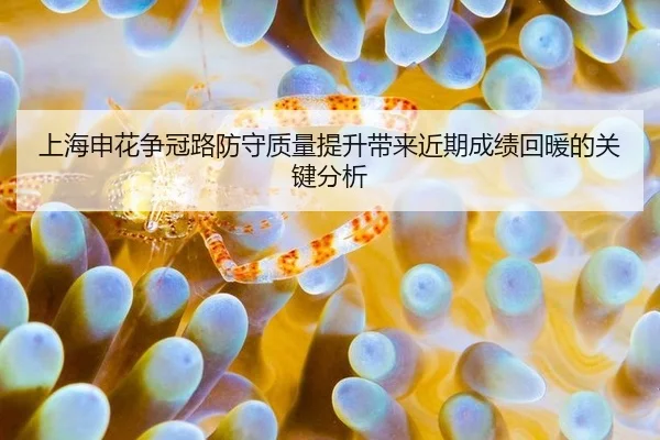 上海申花争冠路防守质量提升带来近期成绩回暖的关键分析
